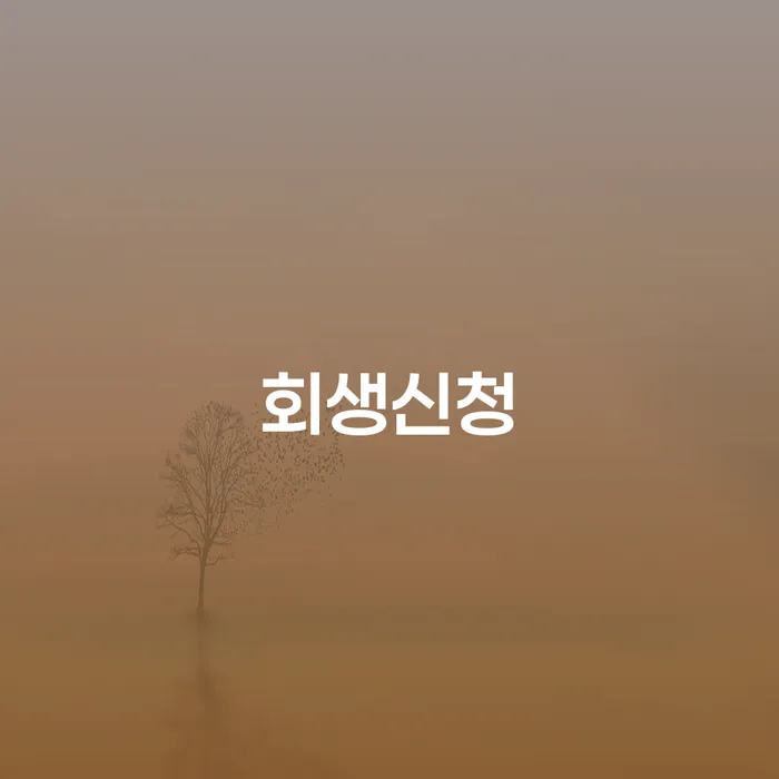 개인회생 면책 후 재신청 빚 해결할 무료로 확인하는 방법