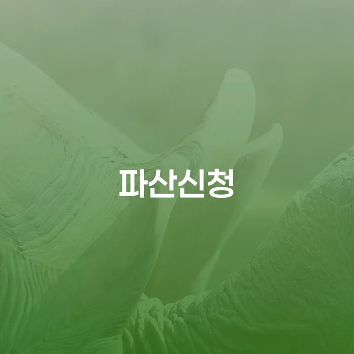개인회생금액 싸고 개인회생으로 현명하게 장점을