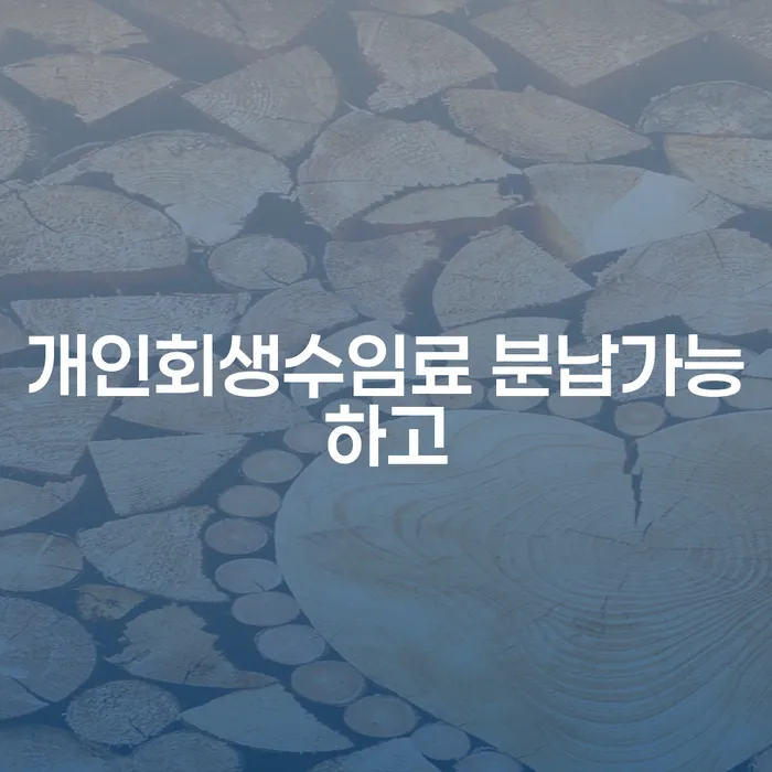 개인회생후기 신용회복 과정을