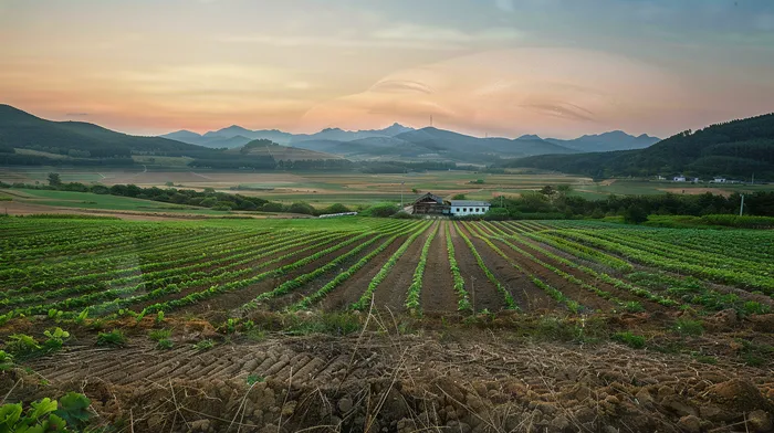 개인회생수임료 분납가능하고