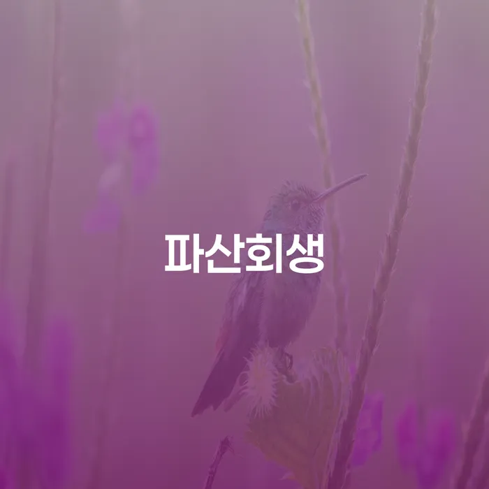 함양군 개인빚 채무조정제도을 이용하여 핵심요약