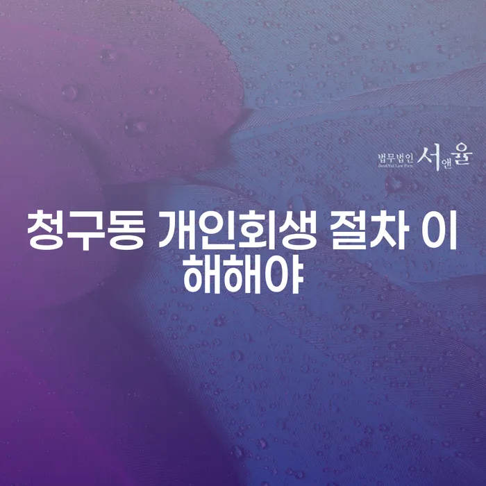청구동 개인회생 절차 이해해야