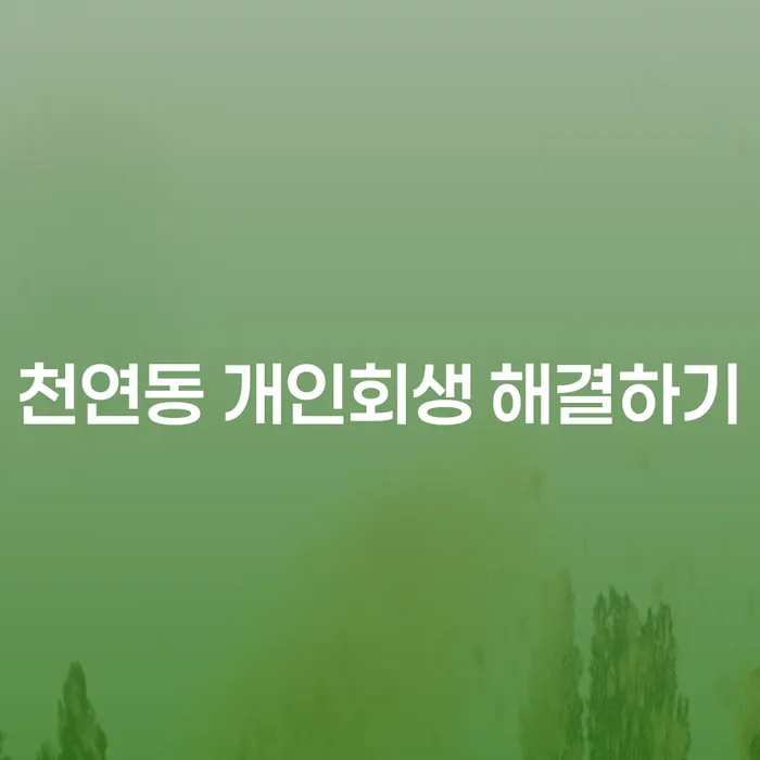 천연동 개인회생 해결하기