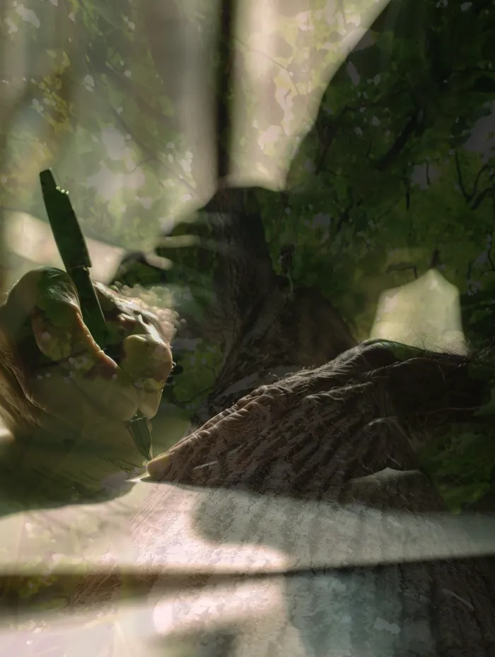 채권추심 사례 분석