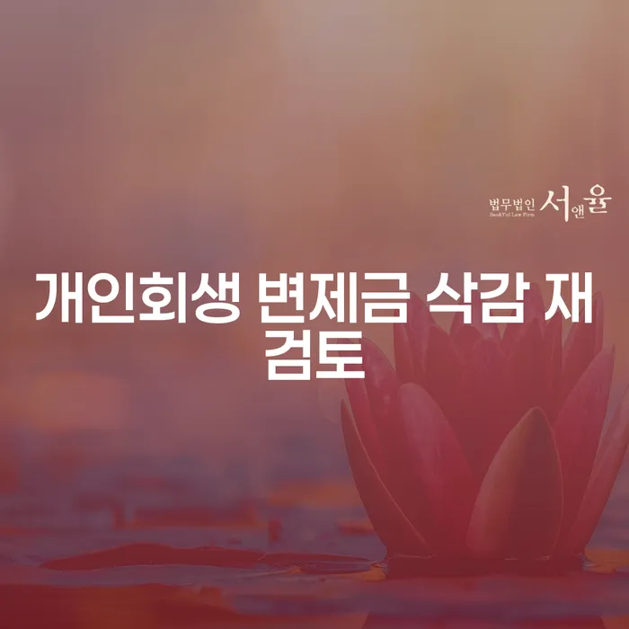 개인회생 변제금 삭감 재검토, 어떻게 시작해야 할까요?