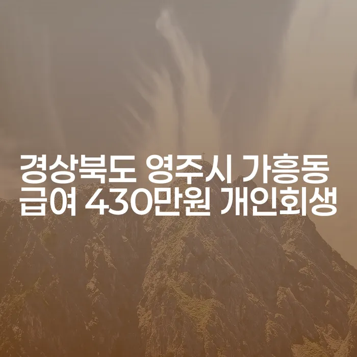 경상북도 영주시 가흥동에서 급여 430만원으로 개인회생을 시작하는 방법은?