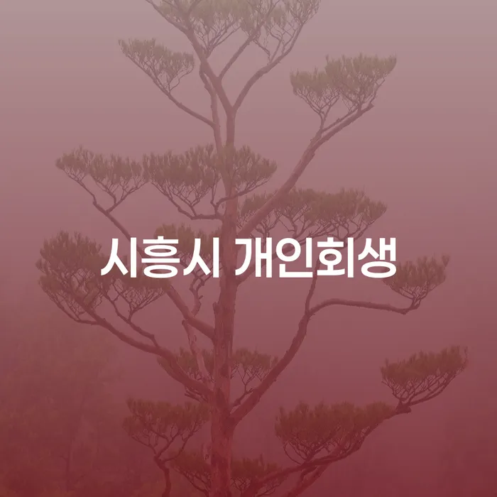 시흥시 개인회생, 수원회생변호사가 꼭 필요한 이유는?