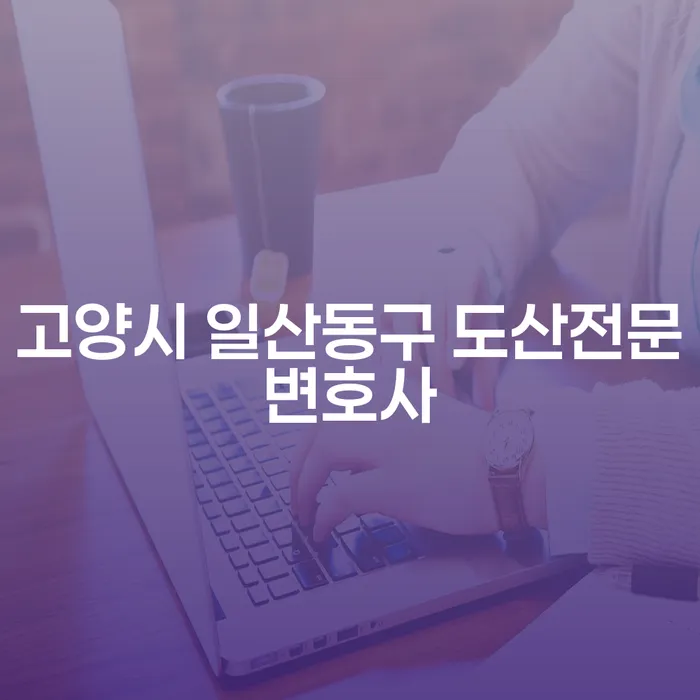 고양시 일산동구 도산전문변호사와 인제군 개인회생파산, 당신에게 꼭 필요한 해결책은?